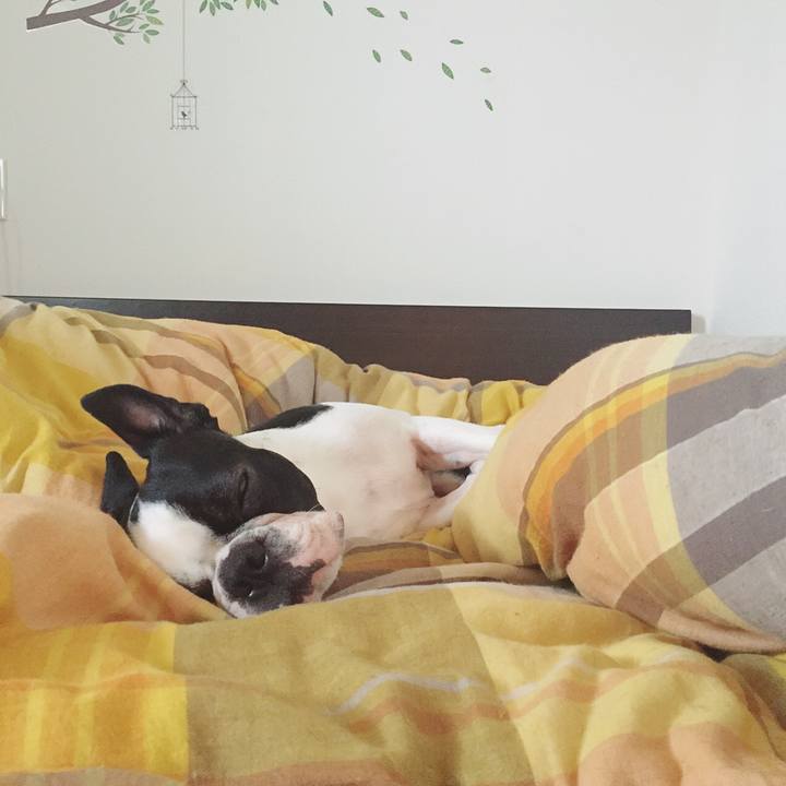 72b89432 e365 44ce 96a4 393d9fbe72d7