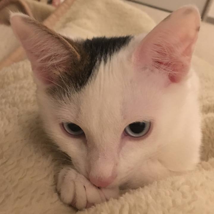 72b90995 5595 46b5 b517 a0faba16666e