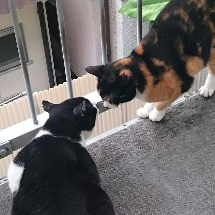 72b94ccd db3e 4ff5 9a85 eeafddd3972c