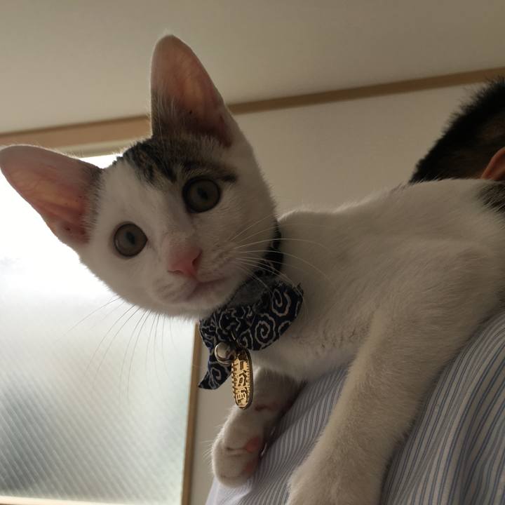 72bb3bc3 ec07 4234 828d 47d7dbba4f4e