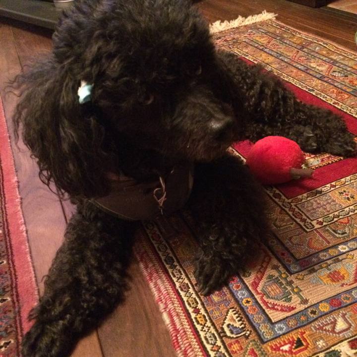 72bb8781 fa23 463b b321 28e3ecfb7d33