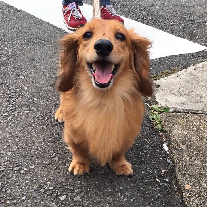 72bc219b 5fe8 4cec 9f9d b1186ccab61e