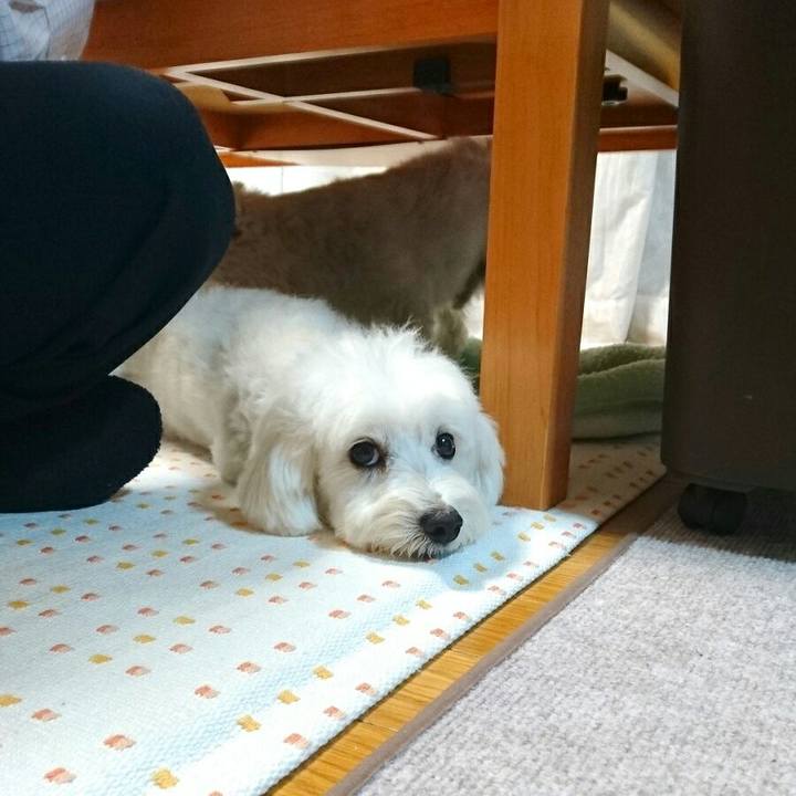 72bc3224 9e02 4e86 bcf2 1e9d22b10db2