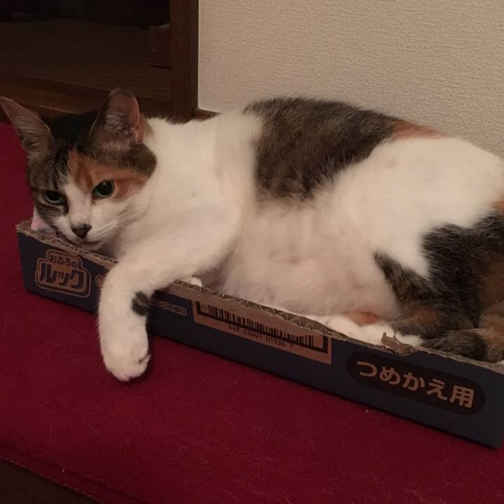 72bc5862 3ba8 49a0 a8fc 95e6a5fa8a47