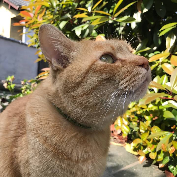 72bc7a36 a8db 45a5 b442 8ef06bf69d5f