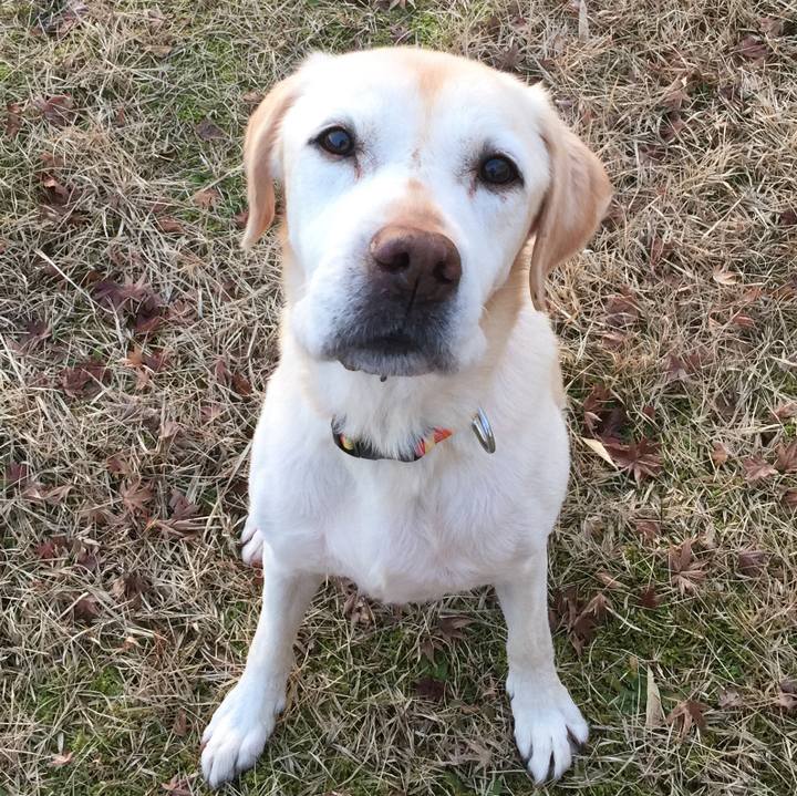 72bcd480 039e 412f 80bc 27e317ee46d0