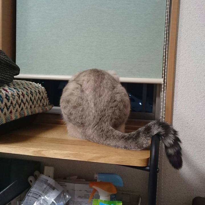 72bcf3aa 6b3e 4e03 a3ca bcd7a6d6a845