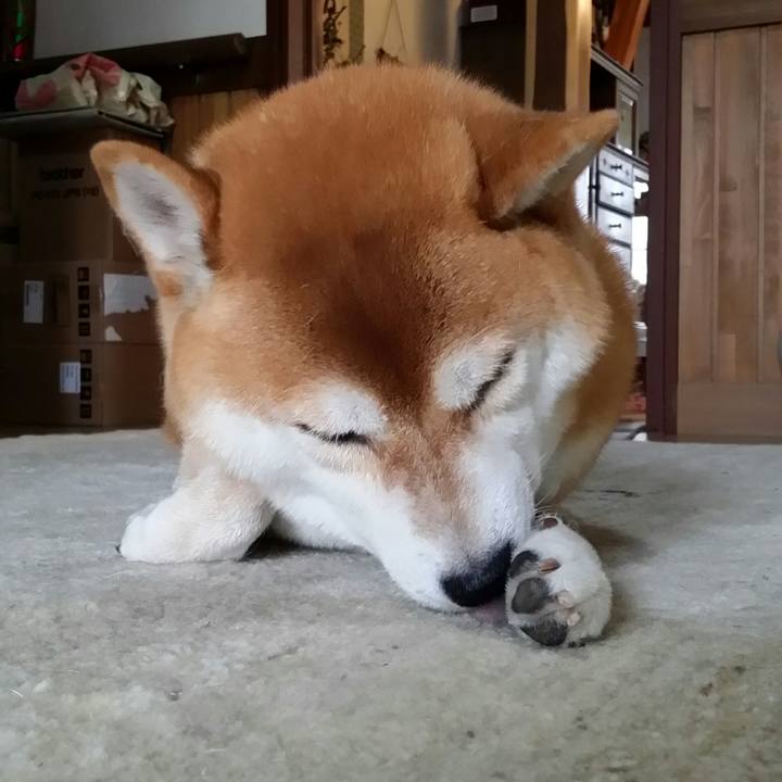 72bcf6bb a6d5 47f7 b914 32506bf7dcf5