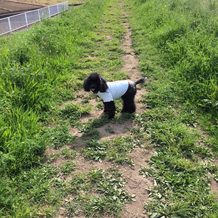 72bd34f5 183f 4c8b b614 45581951f24c