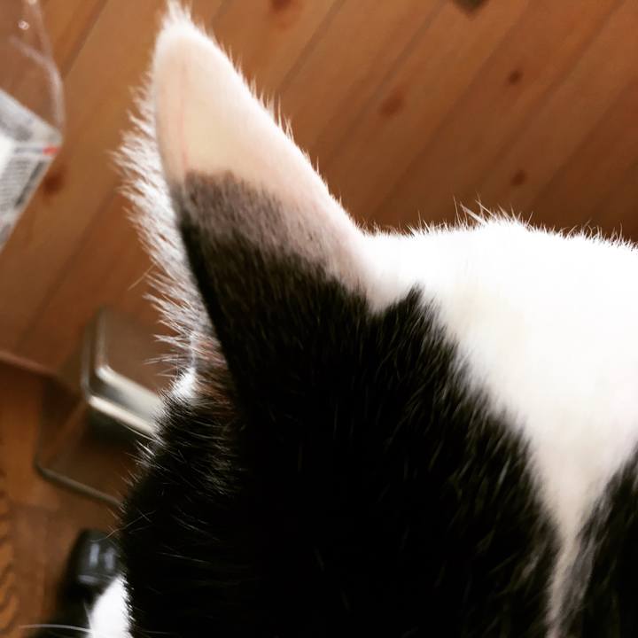 72bd98ed 3f7a 4e66 b04f 39328621960e