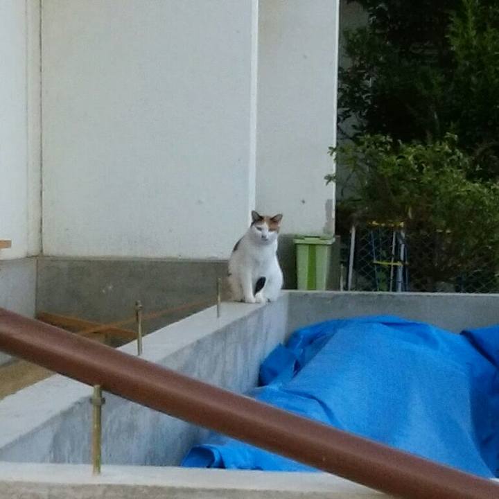 72bd9ffe 403f 43e0 9a9a 51b1eb5d77c2