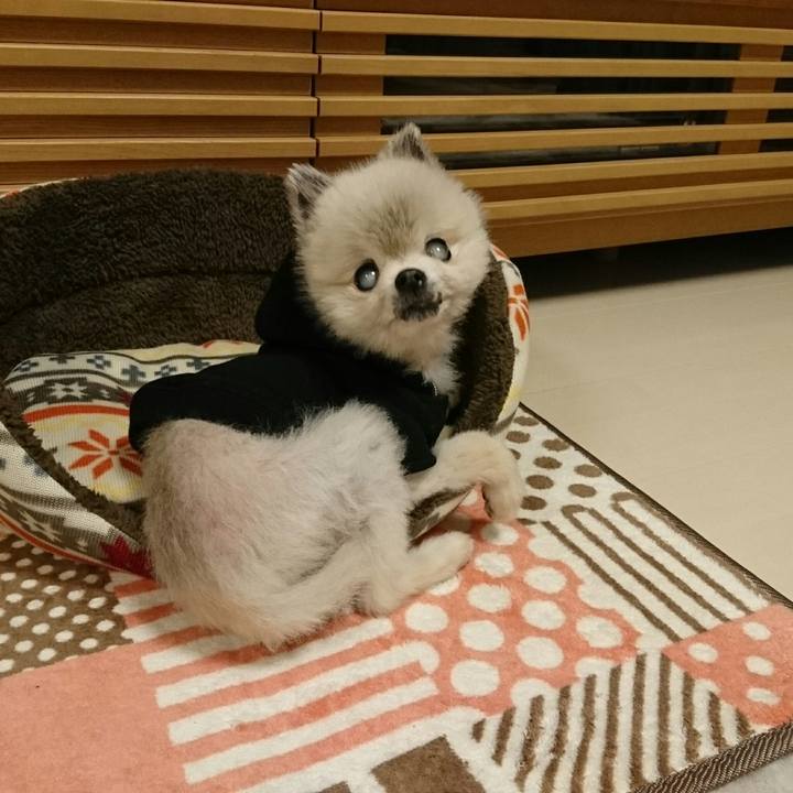 72bdbf49 0734 450d 9cc3 5c3451ec216c