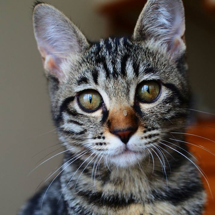 72be3113 884c 4fb6 b79e 44add3f32598