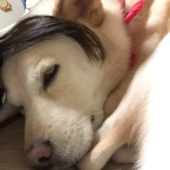 72be9ab9 1a51 4f6e b387 f45f8b13d396