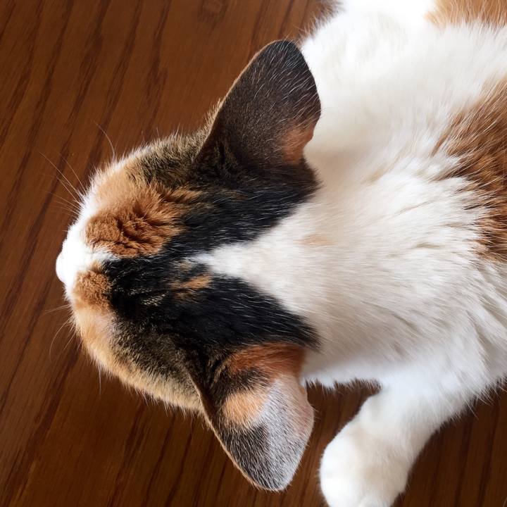 72bf0bb3 ba7a 46ff aeb1 587d1940b6b2