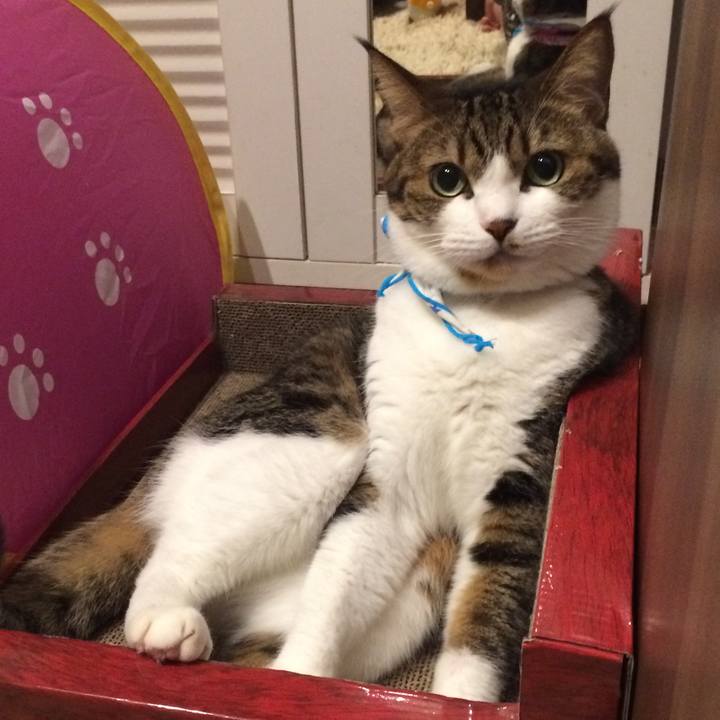 72bf22d9 25c6 43c8 8971 e38e8ad9b11d