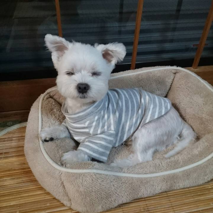 72bf37b2 539c 4dc1 bd6f d00144dda2a6