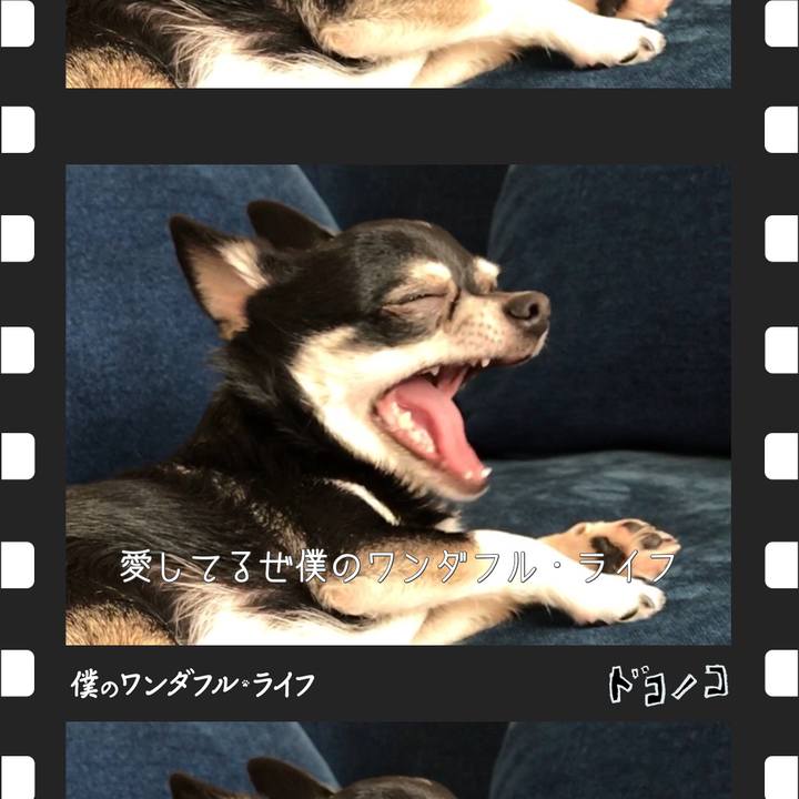 72bfa4a9 333d 4f32 bd06 1e249ebef8c3