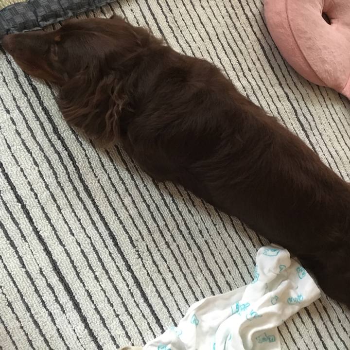 72c03a2a 1947 4120 b784 00ba0cb36145