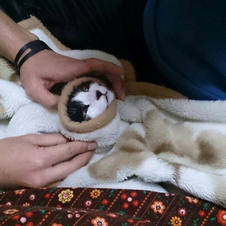 72c0c50d dda8 4ca4 a2bd 36de6e129850