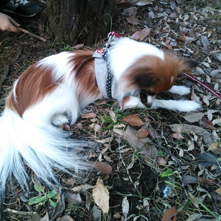 72c10073 253a 4d1c 95d8 66c30a249ab2