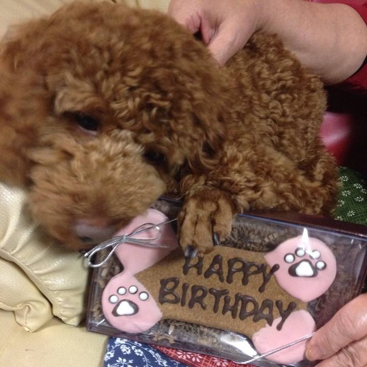 72c12731 23c2 403a b6bb b425db58a166