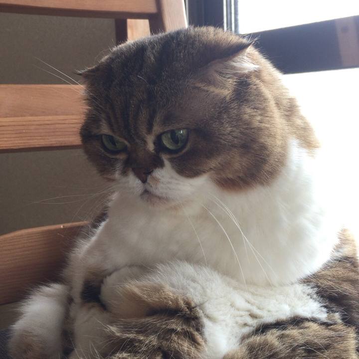 72c19ac5 9a94 461e 9a05 ec9c80b88f36