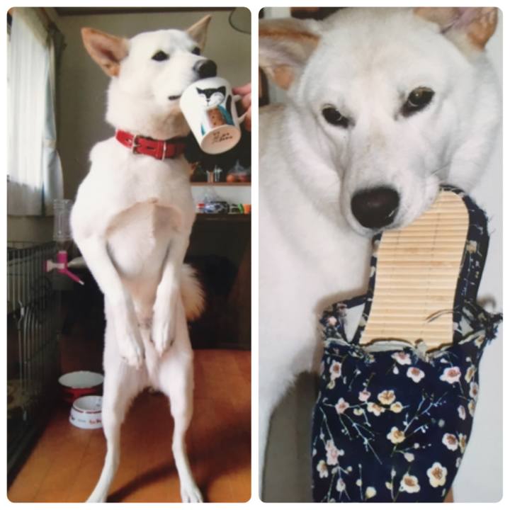 72c22721 5e36 45b2 a921 7dfacc18a900