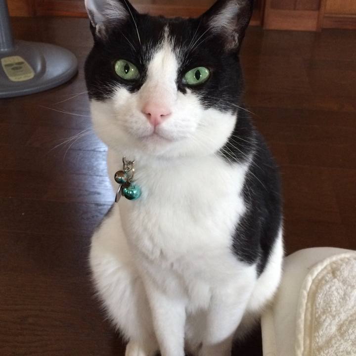 72c2a5c2 3334 4e63 be2f 739a6d4b2de4