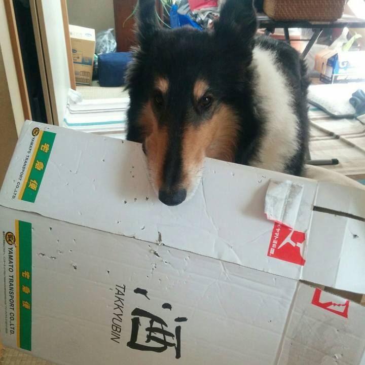 72c2da7b 835b 47b0 b301 ba266068c5d0