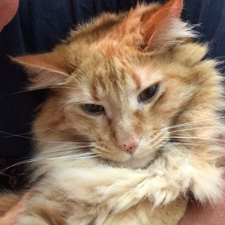 72c2eb10 3788 40fb 9416 df0645dc63a2