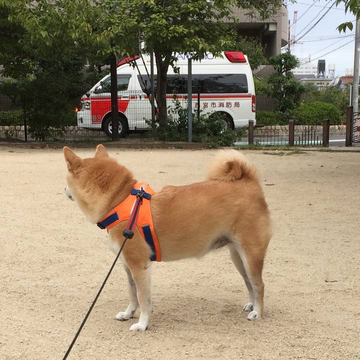 72c2f60b e2c1 457a 975c f7c1eec1026a