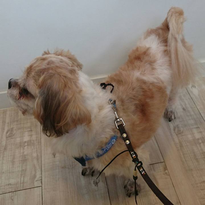 72c30abd d741 47c6 a912 38099f85bcca