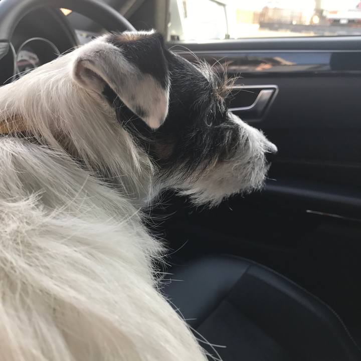 72c32a3c 48fd 4e12 b5ec b44231851c8a