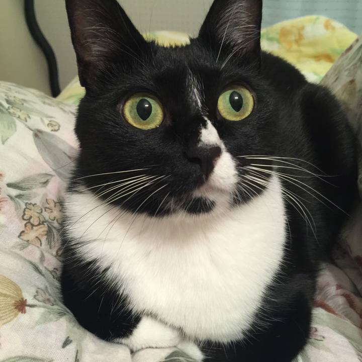 72c3fb4a a73d 4fc3 8234 2ca0e5cc70c4