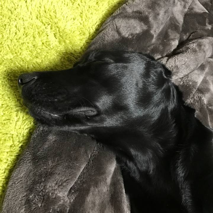 72c441ca 2210 4cf8 b3ba cb62b1b11ae7