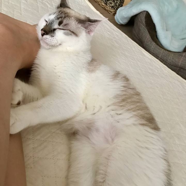 72c49087 4aa1 4521 8ae9 def10fe5a3a0