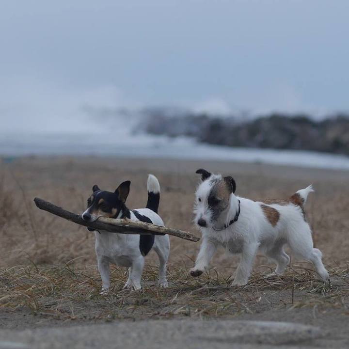 72c52bea 03f5 4287 a97d d6cfe98057ff