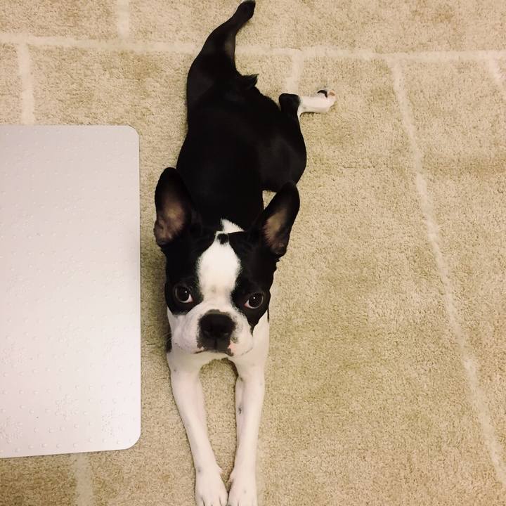 72c54760 1270 4188 934a cb412669dcc3