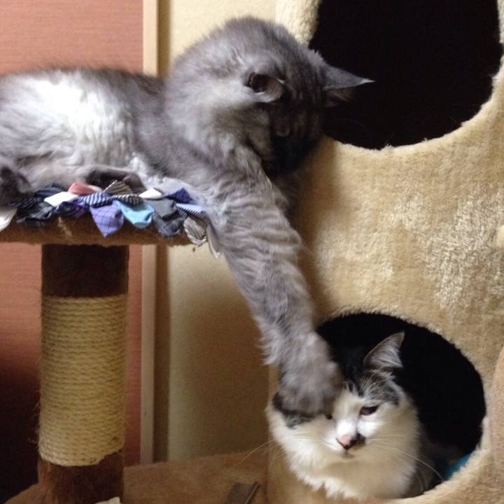 72c5d827 04eb 4db4 bc3a a882db3c3b6c