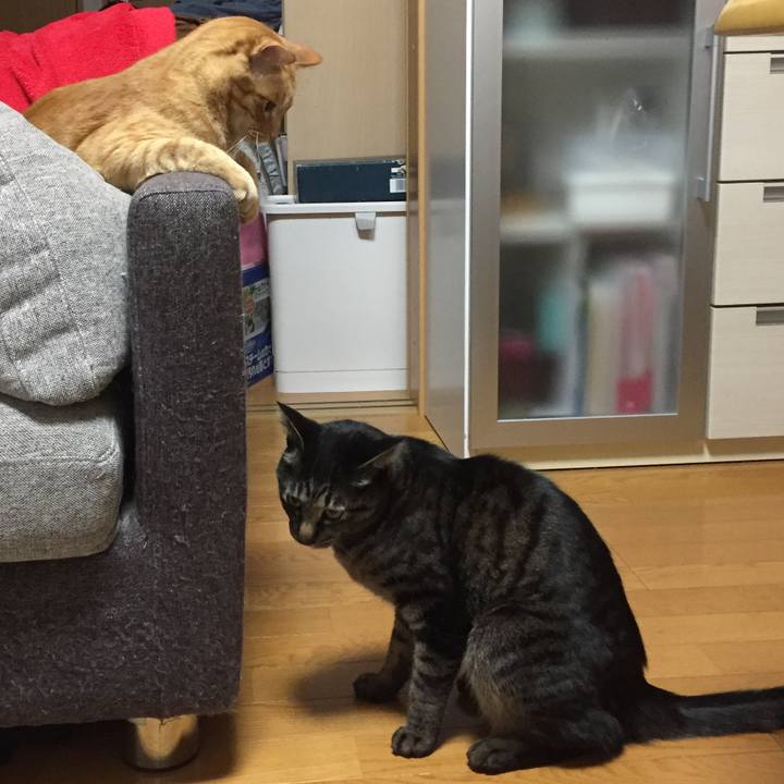 72c5e65d 10a5 4b32 a9f1 3e3a3f64e4af