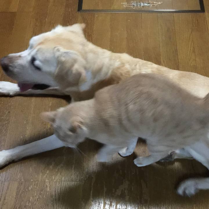 72c5ed23 8ca6 45fd 933b 4d8f6ab7fbb3