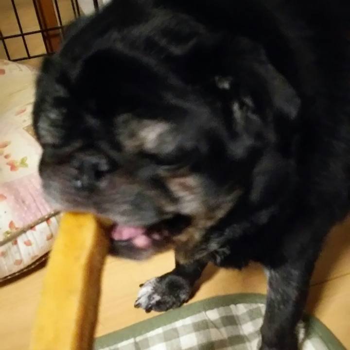 72c60082 c785 4b9a b713 b0ddc8afd951