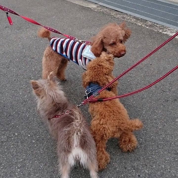 72c651a2 a8b5 470c a716 947564e93ee6