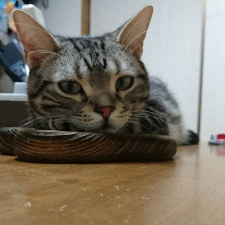 72c65754 740d 4257 a6de 61ef3a86e5dc