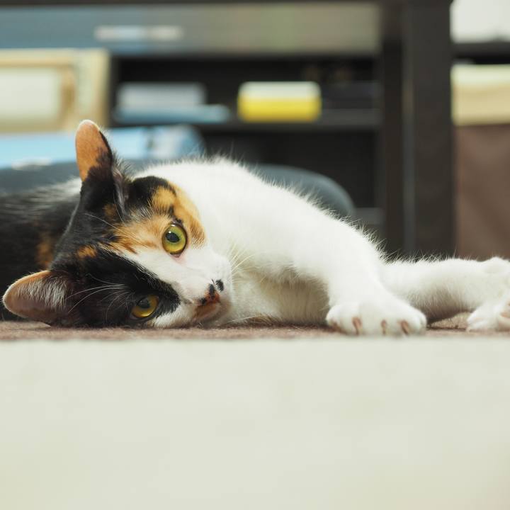 72c72255 5e8e 4f47 8ed2 c8d422c02e9c