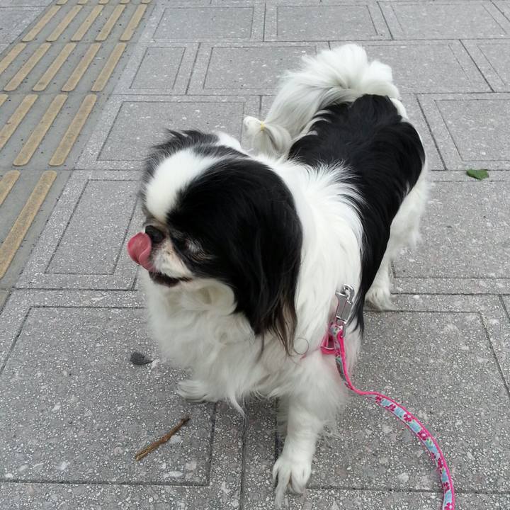 72c7507b 37ca 4c21 bc60 407725ece17b