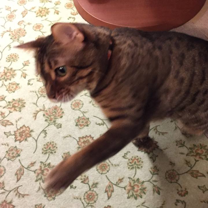 72c77fcd 8feb 42b5 92e0 89504b7efa7f