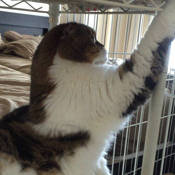 72c7e970 3a33 4696 a4e9 36cc34177d7f