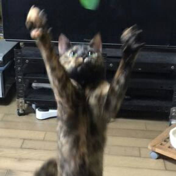 72c901e9 9b2d 478b 8a3f 4dd7351dfafc